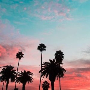 Meet your Posher, Austin